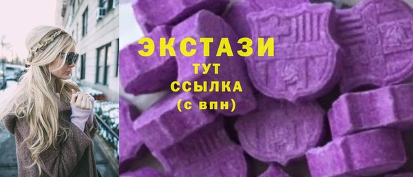 индика Карпинск