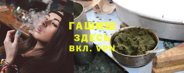 индика Карпинск