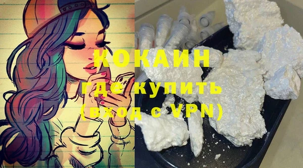 индика Карпинск