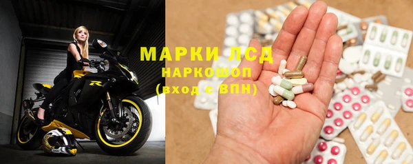 индика Карпинск