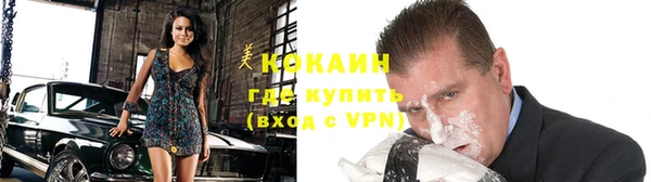 индика Карпинск