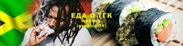 индика Карпинск