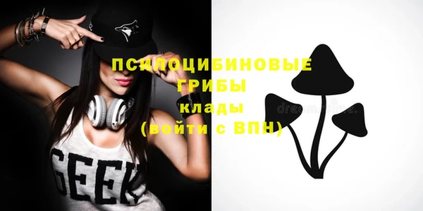 spice Касимов