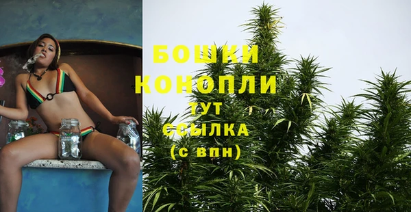 spice Касимов