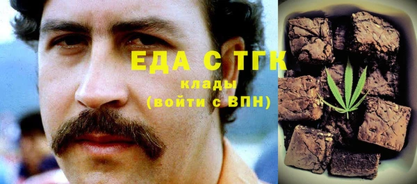 индика Карпинск