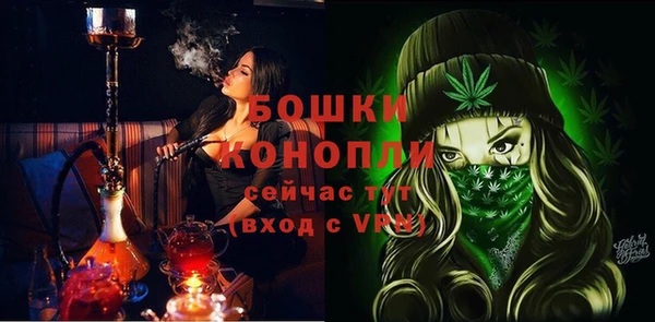 индика Карпинск
