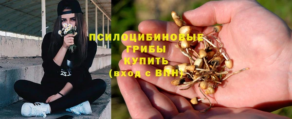 соль ск Карталы