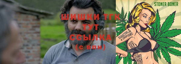 индика Карпинск