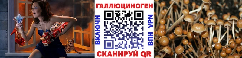Галлюциногенные грибы Cubensis  сайты даркнета наркотические препараты  Яранск 